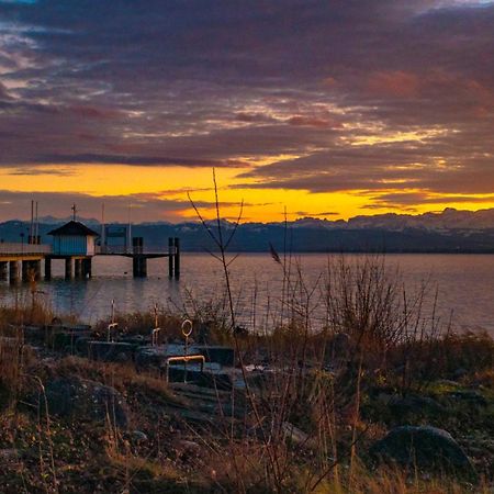 Gemuetliches Studio Fuer Zwei In Immenstaad Nur 500M Vom See Immenstaad am Bodensee Dış mekan fotoğraf
